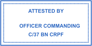 Stamp mockup №2240,Size :30mm-15mm